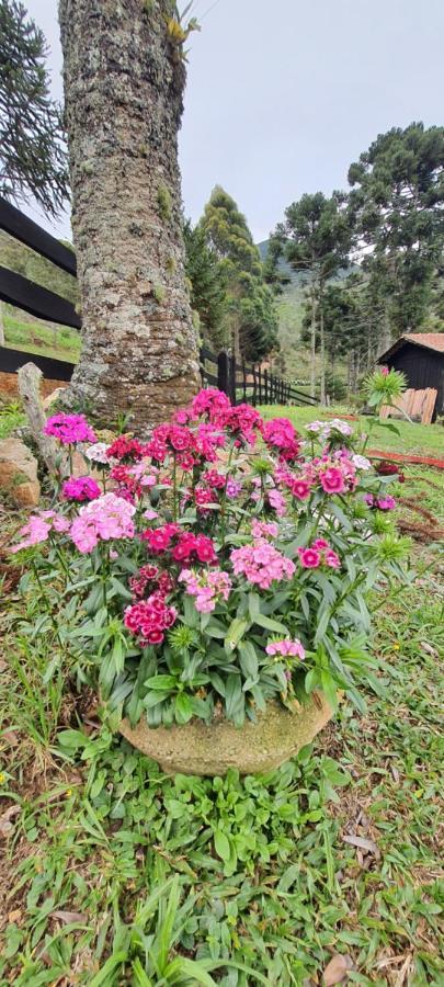 Pousada Do Morro Verde Carvalhos エクステリア 写真