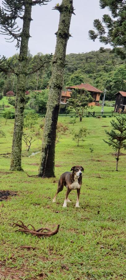 Pousada Do Morro Verde Carvalhos エクステリア 写真