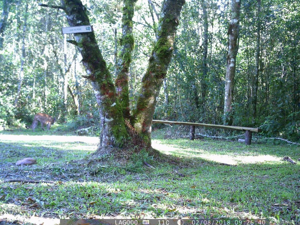 Pousada Do Morro Verde Carvalhos エクステリア 写真
